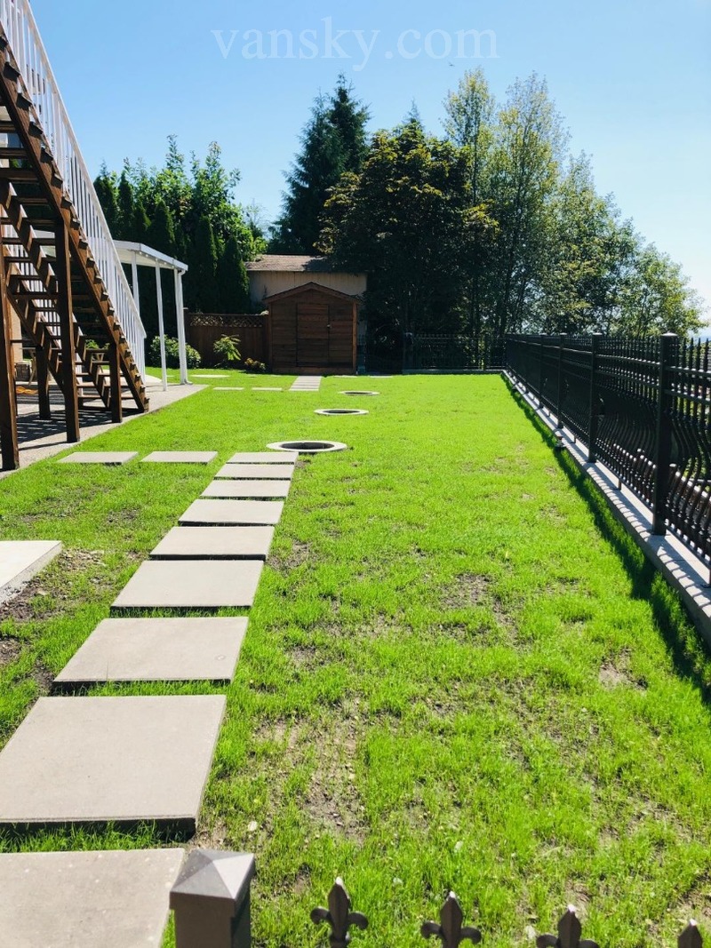 200722220001_DG Back Yard 4.jpg